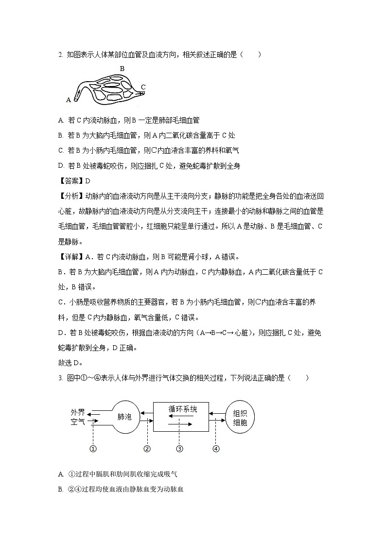 江苏省徐州市沛县2023-2024学年八年级下6月月考生物试卷（解析版）第2页