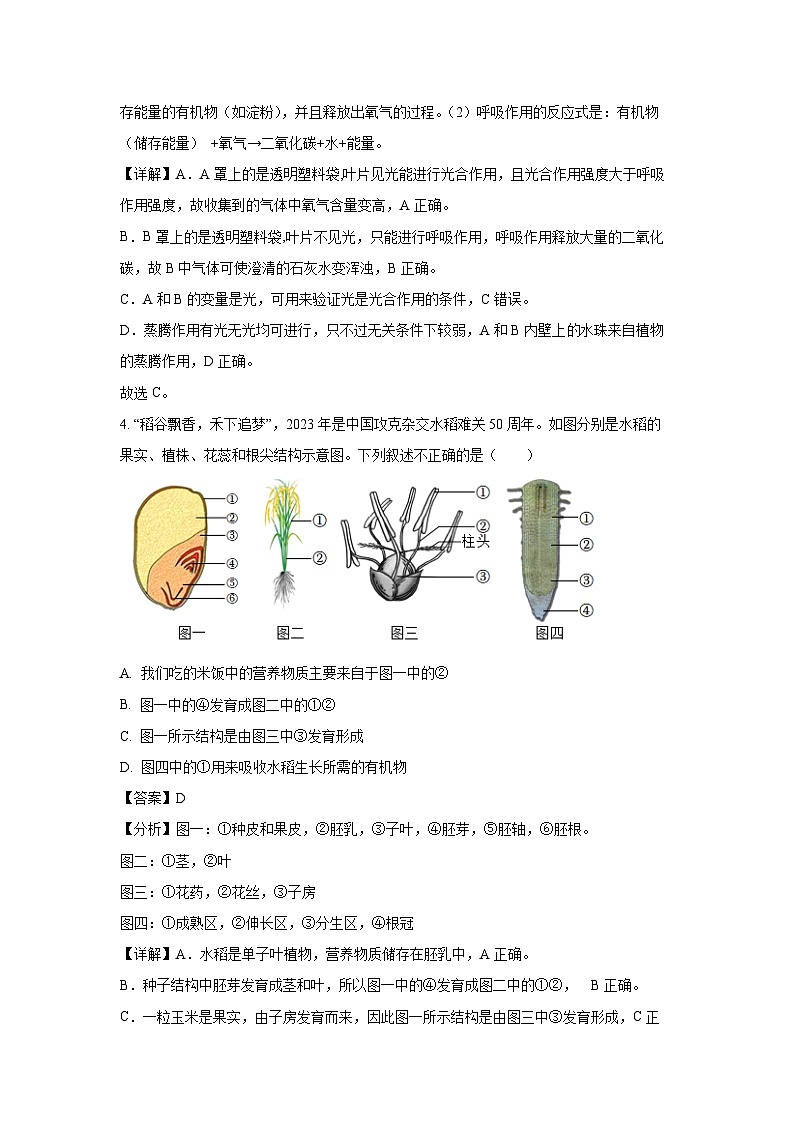 江苏省徐州市沛县2023-2024学年八年级下3月月考学生物试卷（解析版）第3页