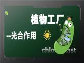 3.2.2光合作用課件 2025學(xué)年人教版生物七年級下冊 課件