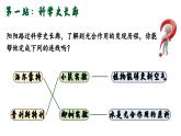 3.2.2光合作用課件 2025學(xué)年人教版生物七年級下冊 課件