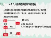 4.8.2人體細(xì)胞獲得氧氣的過(guò)程 2025學(xué)年七年級(jí)生物下冊(cè)（北師大版2024）課件