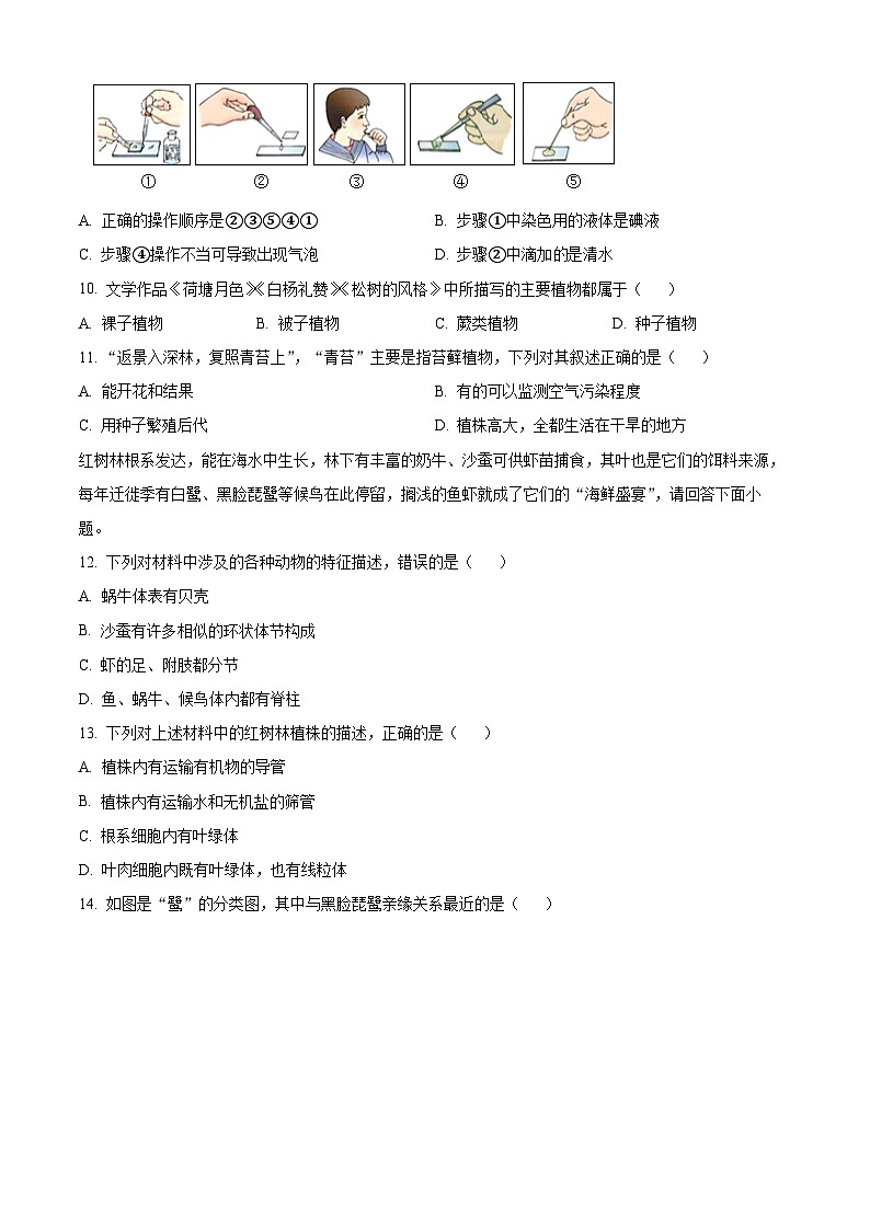 江西省赣州市于都县2024-2025学年七年级上学期期末生物试题（原卷版+解析版）第2页