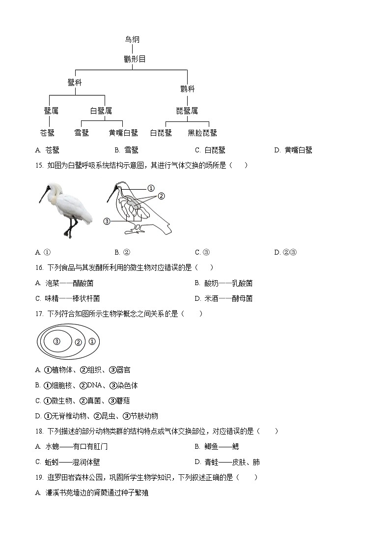江西省赣州市于都县2024-2025学年七年级上学期期末生物试题（原卷版+解析版）第3页