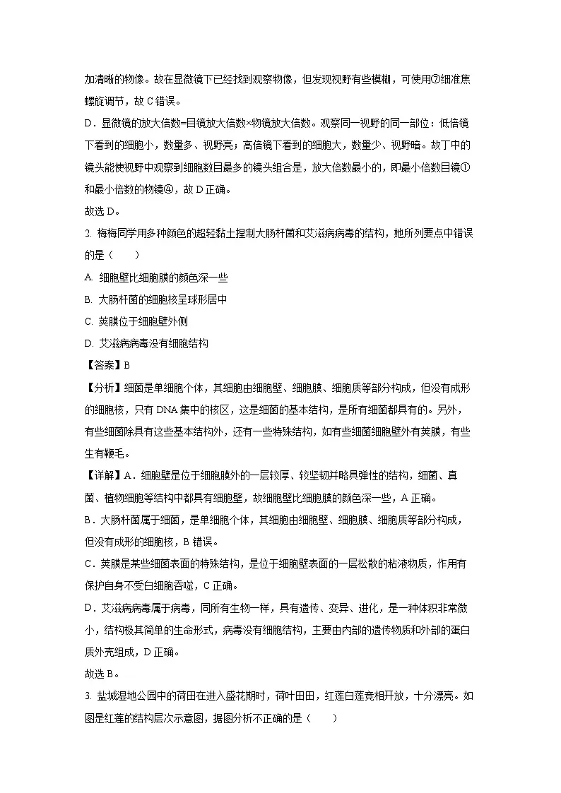 2024-2025学年江苏省盐城市阜宁县七年级上学期期末生物试卷（解析版）第2页