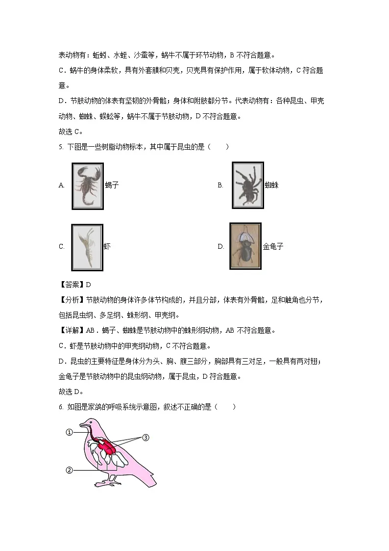2024-2025学年重庆市开州区八年级上学期期末生物试卷（解析版）第3页