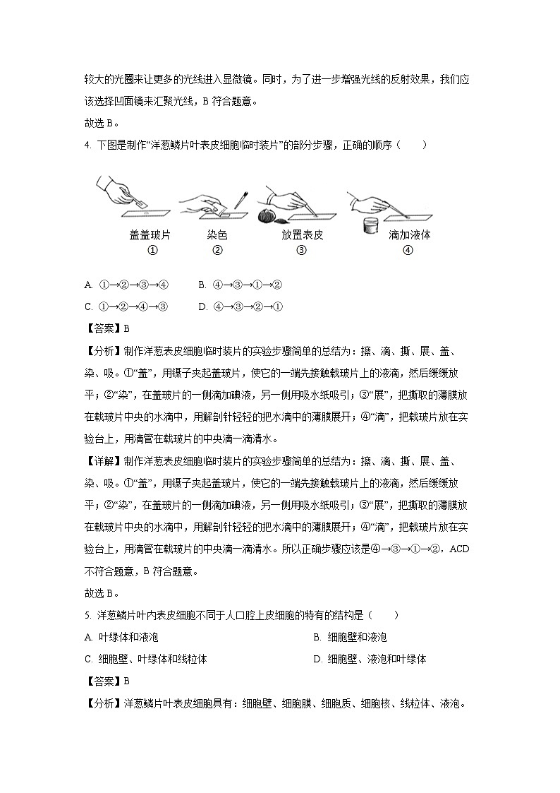 2024-2025学年辽宁省盘锦市兴隆台区七年级上学期期末生物试卷（解析版）第3页