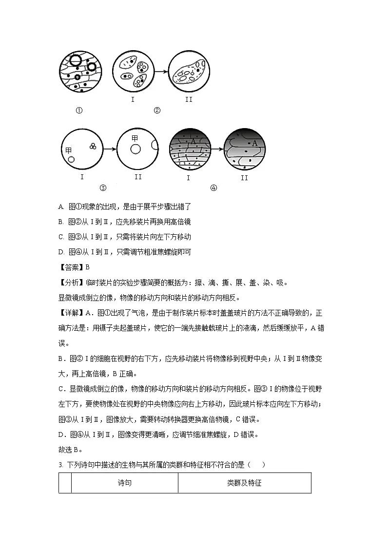 2024-2025学年内蒙古赤峰市松山区七年级上学期期末生物试卷（解析版）第2页