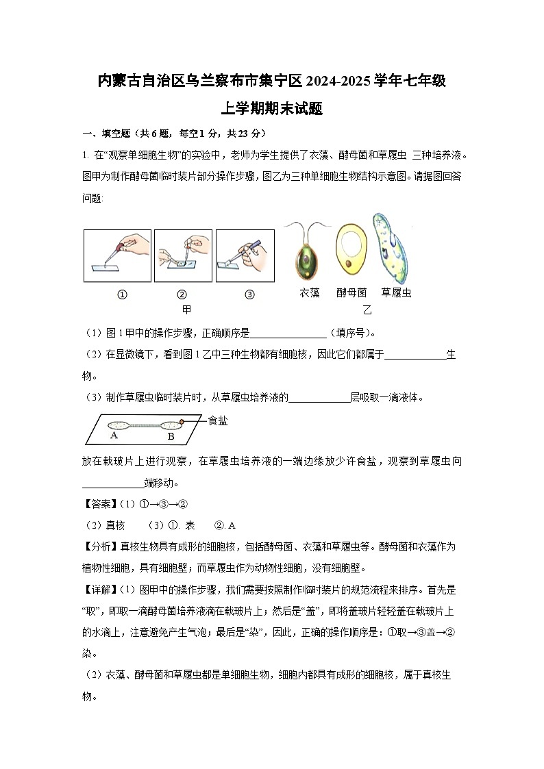 2024-2025学年内蒙古自治区乌兰察布市集宁区七年级上学期期末生物试卷（解析版）第1页