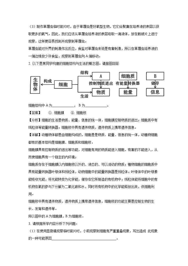 2024-2025学年内蒙古自治区乌兰察布市集宁区七年级上学期期末生物试卷（解析版）第2页