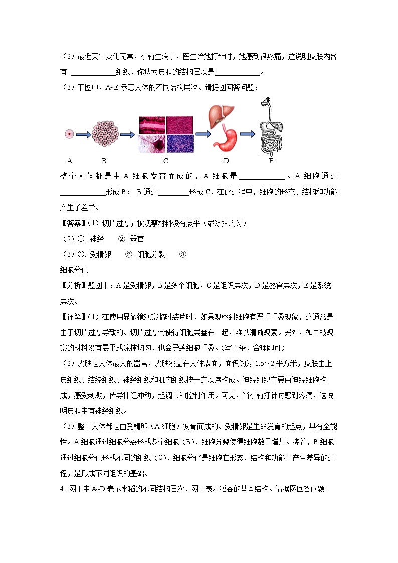 2024-2025学年内蒙古自治区乌兰察布市集宁区七年级上学期期末生物试卷（解析版）第3页