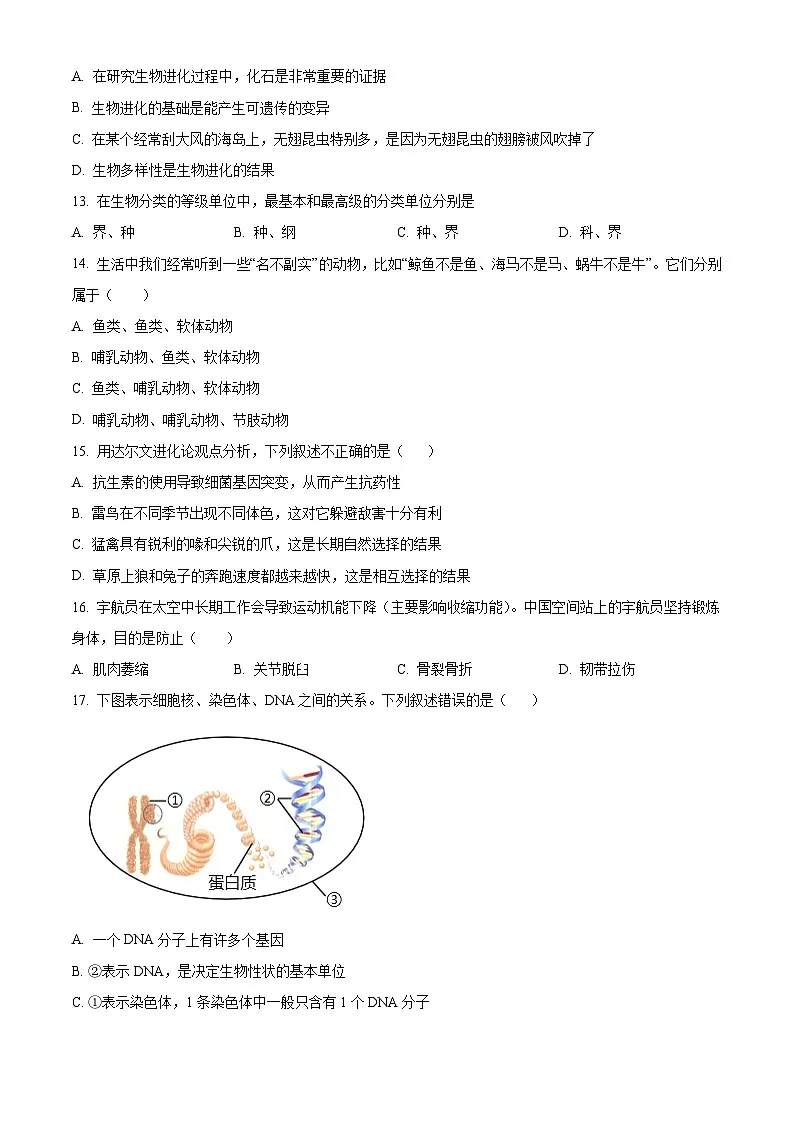 河南省南阳市内乡县2024-2025学年八年级上学期期末生物试题（原卷版+解析版）第3页