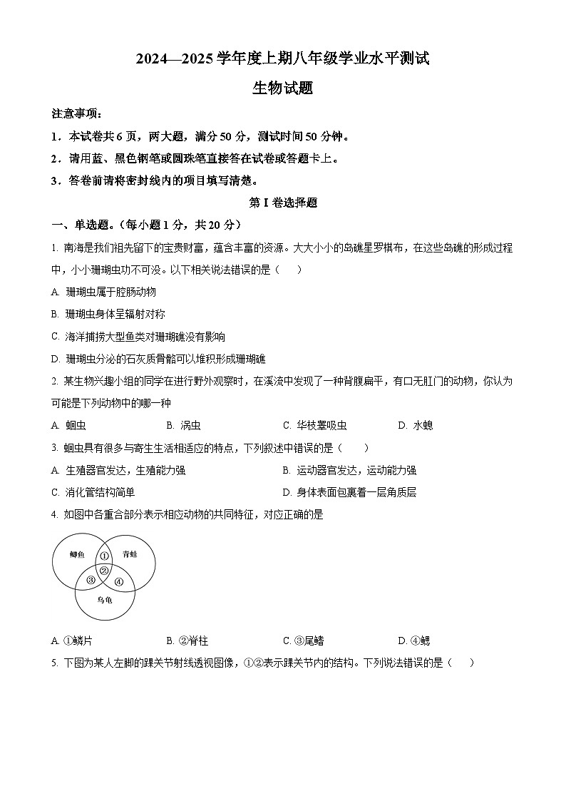 河南省信阳市淮滨县2024-2025学年八年级上学期期末生物试题（原卷版+解析版）第1页