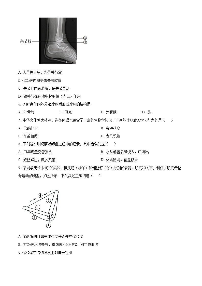 河南省信阳市淮滨县2024-2025学年八年级上学期期末生物试题（原卷版+解析版）第2页
