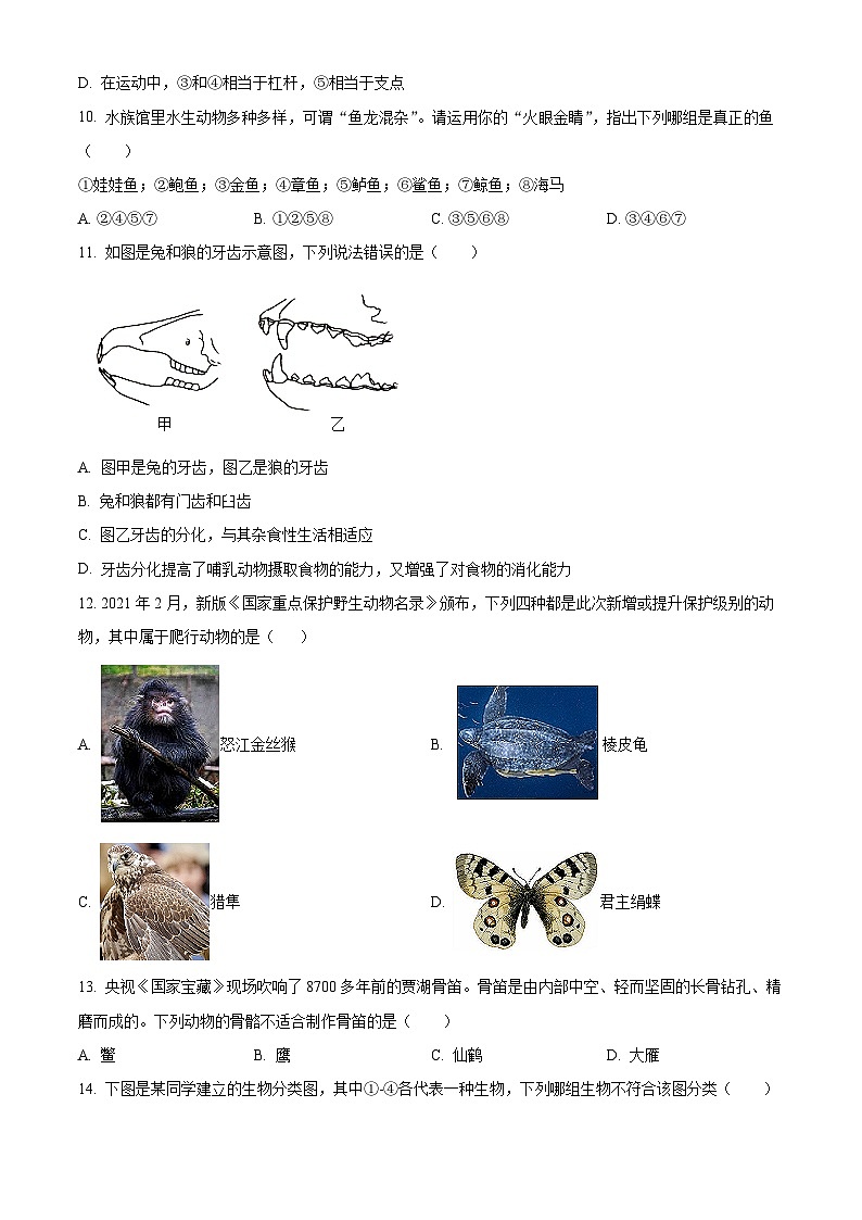 河南省信阳市淮滨县2024-2025学年八年级上学期期末生物试题（原卷版+解析版）第3页