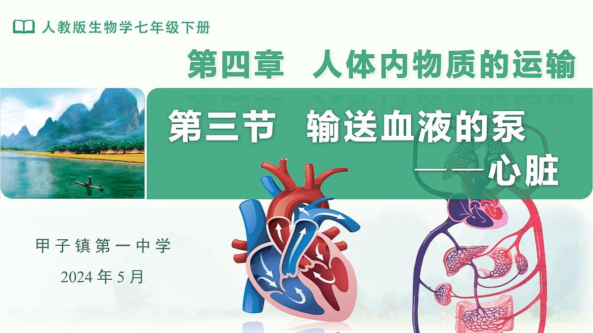 4.4.3输送血液的泵——心脏课件-2024年人教版生物七年级下册第1页