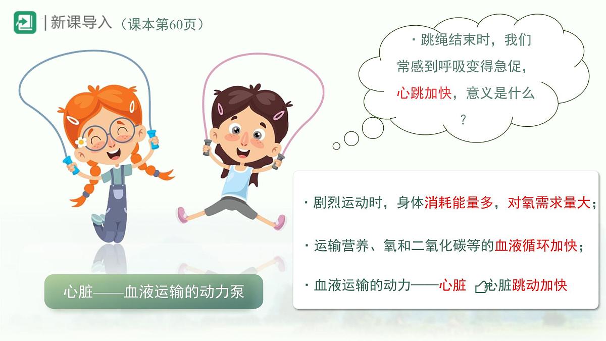 4.4.3输送血液的泵——心脏课件-2024年人教版生物七年级下册第2页