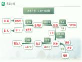 4.1.3  青春期  課件-2023-2024學(xué)年人教版生物七年級下冊