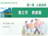 4.1.3  青春期  課件-2023-2024學(xué)年人教版生物七年級下冊