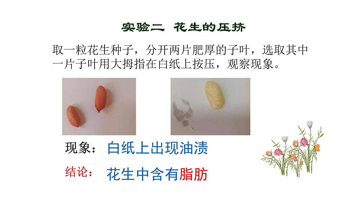4.2.1 食物中的营养物质课件-2023--2024学年人教版生物七年级下册第7页