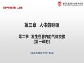 4.3.2发生在肺内的气体交换课件（第一课时）2023-2024学年人教版生物七年级下册