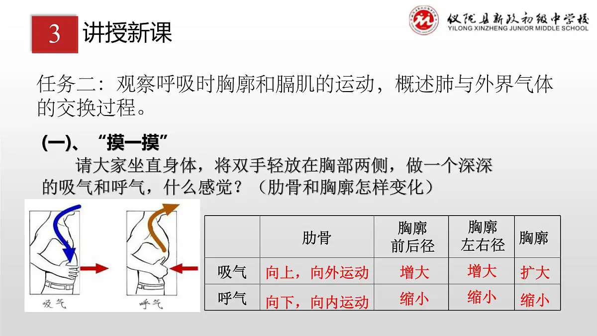 4.3.2发生在肺内的气体交换课件（第一课时）2023-2024学年人教版生物七年级下册第5页