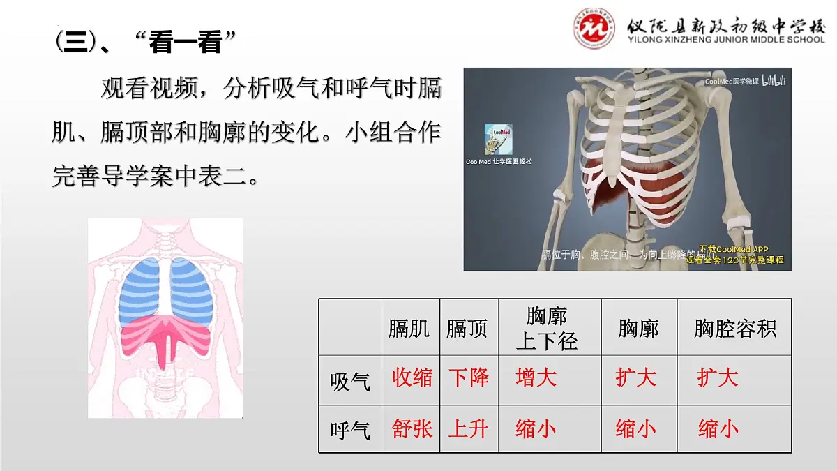 4.3.2发生在肺内的气体交换课件（第一课时）2023-2024学年人教版生物七年级下册第7页