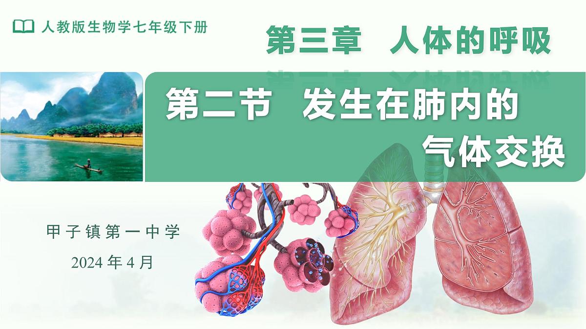 4.3.2发生在肺内的气体交换课件-2023--2024学年人教版生物七年级下册第1页