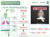 4.3.2发生在肺内的气体交换课件-2023--2024学年人教版生物七年级下册