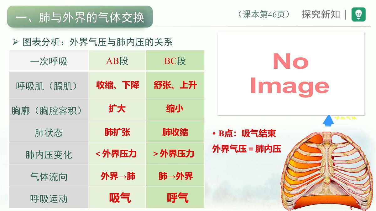 4.3.2发生在肺内的气体交换课件-2023--2024学年人教版生物七年级下册第6页