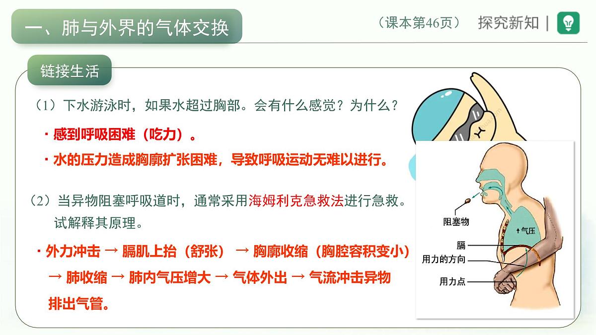 4.3.2发生在肺内的气体交换课件-2023--2024学年人教版生物七年级下册第7页