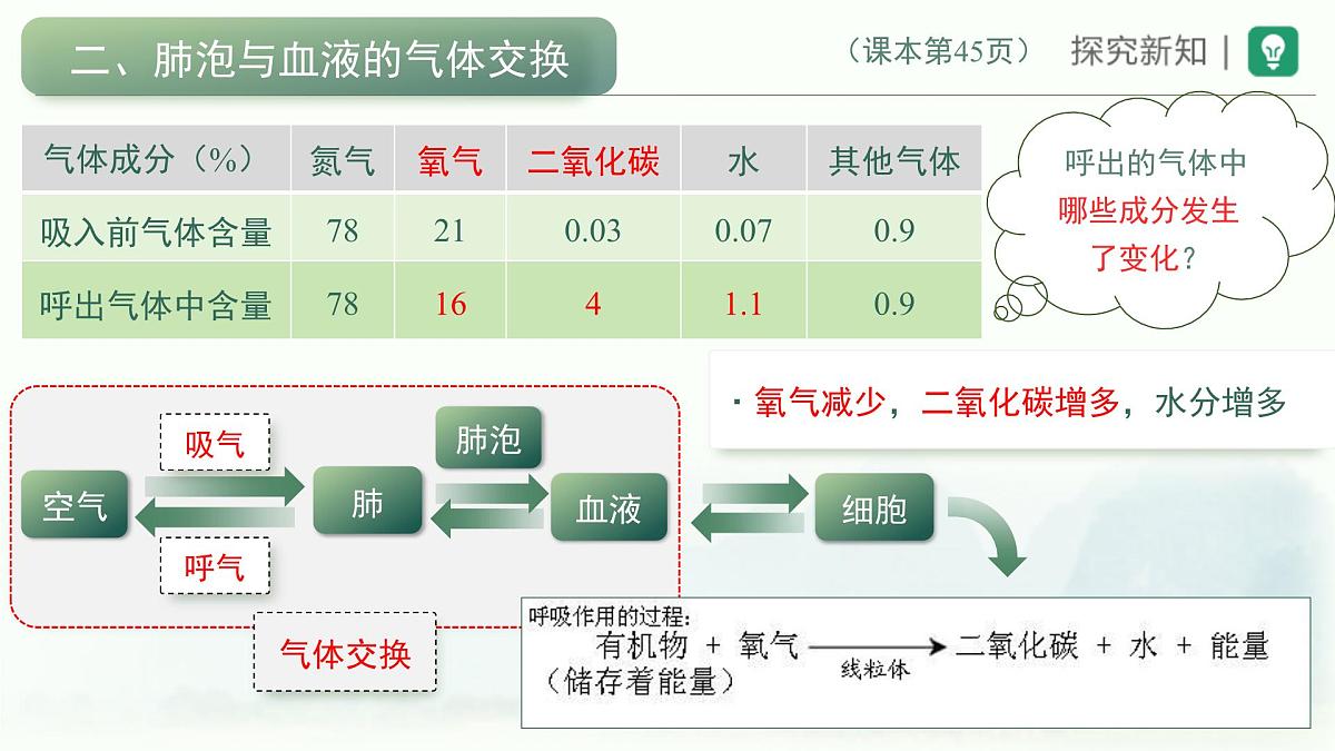 4.3.2发生在肺内的气体交换课件-2023--2024学年人教版生物七年级下册第8页