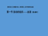 4.4.1 流动的组织——血液 第2课时 课件-2023--2024学年人教版生物七年级下册