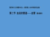 4.4.2 血流的管道——血管 第1课时课件2023--2024学年人教版生物七年级下册