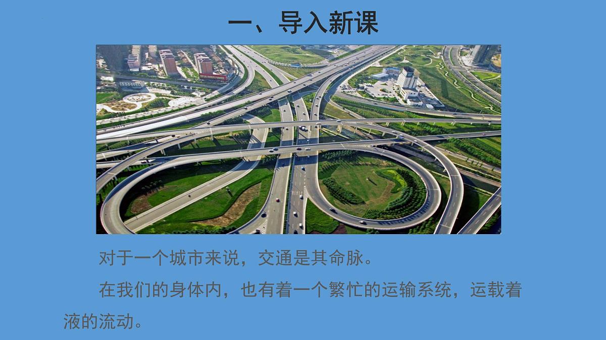 4.4.2 血流的管道——血管 第1课时课件2023--2024学年人教版生物七年级下册第2页