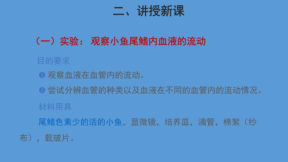 4.4.2 血流的管道——血管 第1课时课件2023--2024学年人教版生物七年级下册第5页