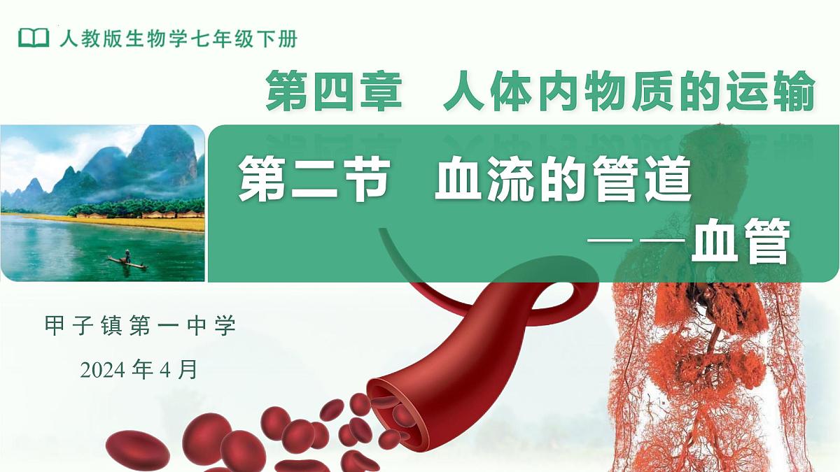 4.4.2血流的管道——血管课件-2023--2024学年人教版生物七年级下册第1页