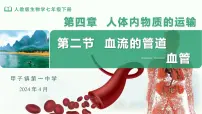 七年级下册（2024）第二节 血流的管道 —— 血管授课ppt课件