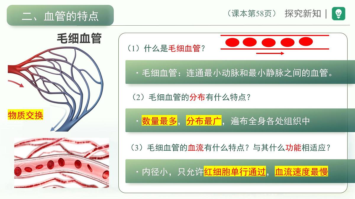 4.4.2血流的管道——血管课件-2023--2024学年人教版生物七年级下册第6页