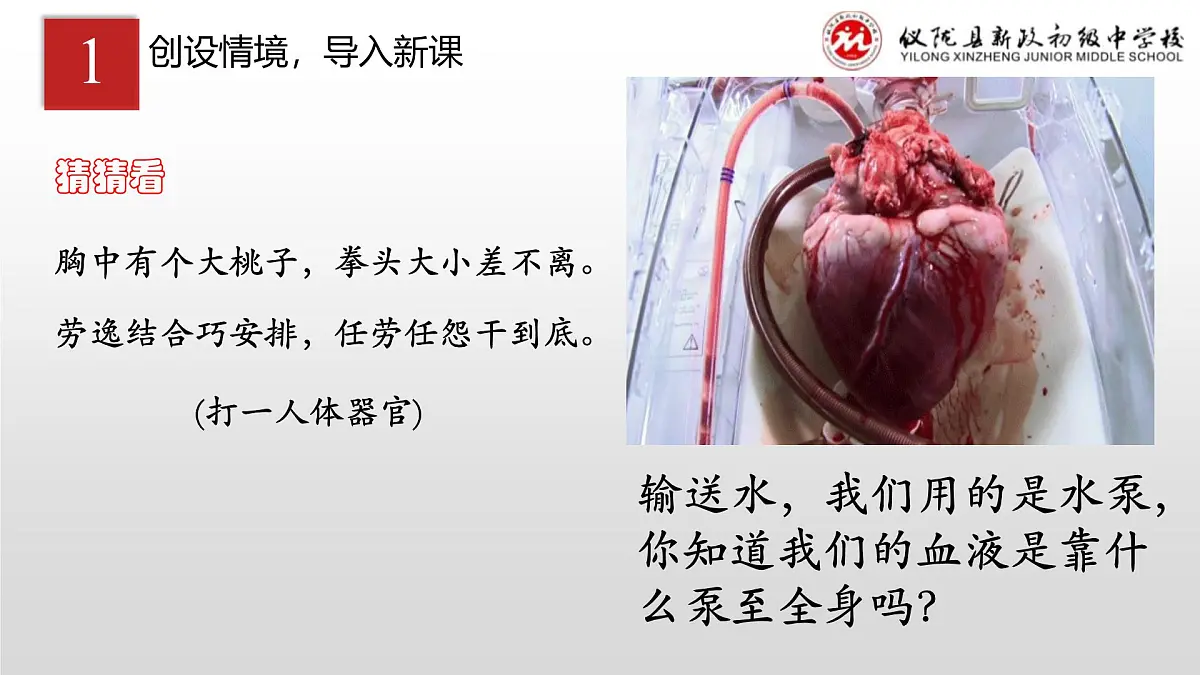 4.4.3输送血液的泵——心脏(第一课时）课件2023-2024学年人教版生物七年级下册第2页