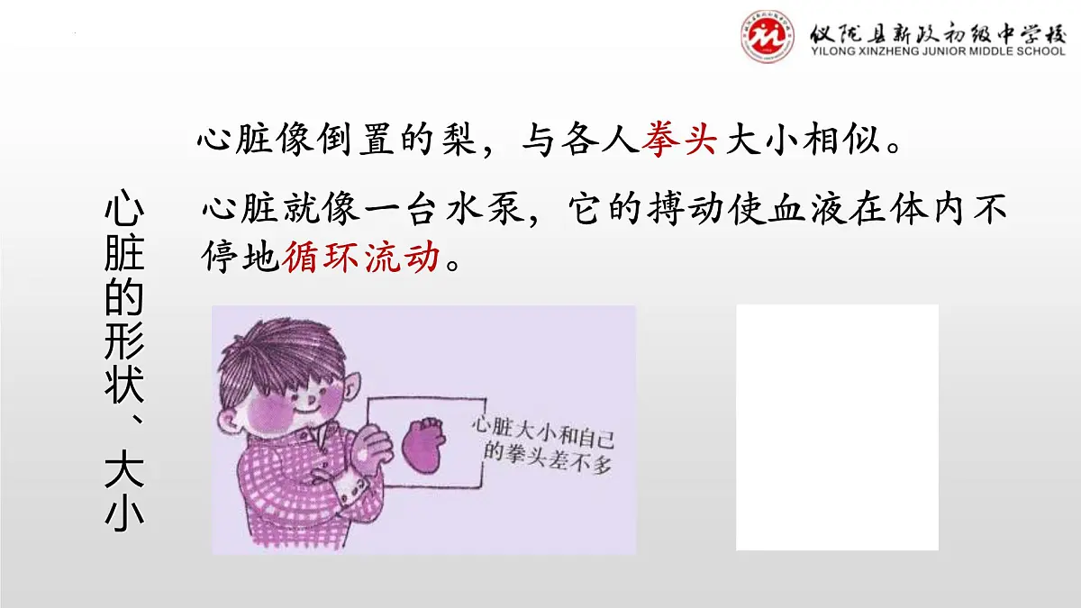 4.4.3输送血液的泵——心脏(第一课时）课件2023-2024学年人教版生物七年级下册第6页
