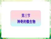 苏教版生物八年级上册第十四章《丰富多彩的生物世界（二)》（考点串讲课件）