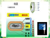 苏教版生物八年级上册第十四章《丰富多彩的生物世界（二)》（考点串讲课件）