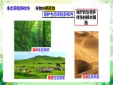 苏教版生物八年级上册第十五章《生物多样性及其保护》（考点串讲课件）