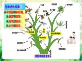 苏教版生物八年级上册第十六章《生命起源和生物进化》（考点串讲课件）