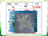 苏教版生物八年级上册第十七章《动物的运动》（考点串讲课件）