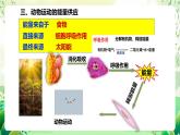 苏教版生物八年级上册第十七章《动物的运动》（考点串讲课件）