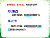 苏教版生物八年级上册第十八章《动物的行为》（考点串讲课件）