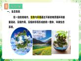 苏教版生物八年级上册第十九章《生态系统》、第二十章《生物圈是最大的生态系统》（考点串讲课件）