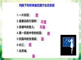 苏教版生物八年级上册第十九章《生态系统》、第二十章《生物圈是最大的生态系统》（考点串讲课件）