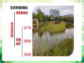苏教版生物八年级上册第十九章《生态系统》、第二十章《生物圈是最大的生态系统》（考点串讲课件）